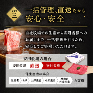 しゃぶしゃぶセット（すき焼き用特選肉、ポン酢、ごまだれ、お米） 黒毛和牛 切り落し 和牛 国産 近江牛 ブランド牛 三大和牛 牛肉 冷凍 贈り物 ギフト プレゼント D-B11 安田牧場 東近江