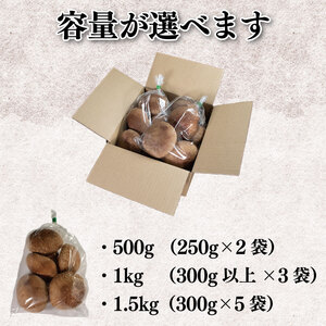 しいたけ 1kg ( 300g 以上 × 3袋 ) きのこ キノコ 生 椎茸 マルイ園 しいたけ 椎茸 しいたけ 椎茸 しいたけ