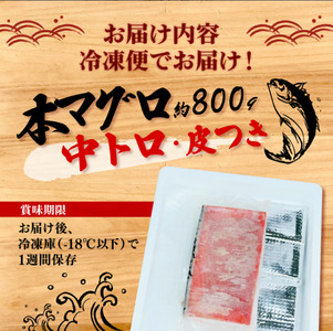 本マグロ 中トロ 800g 刺身 マグロ