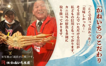黄金ガニ（特大サイズ） × 1杯 「ズワイガニと紅ズワイガニのあいのこ」幻のカニを浜茹ででお届け！【6月発送分】【黄金がに カニ 姿 ボイル 冷蔵 福井県】希望日指定可 備考欄に希望日をご記入ください
