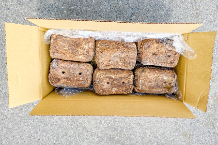 家庭菜園やカブトムシ・クワガタムシのマットに。廃菌床12個入り【サステナブル 家庭菜園 土壌 再利用 廃菌床】