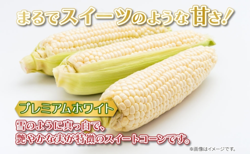 北海道 新しのつ産 とうもろこし プレミアムホワイト 2L 8本