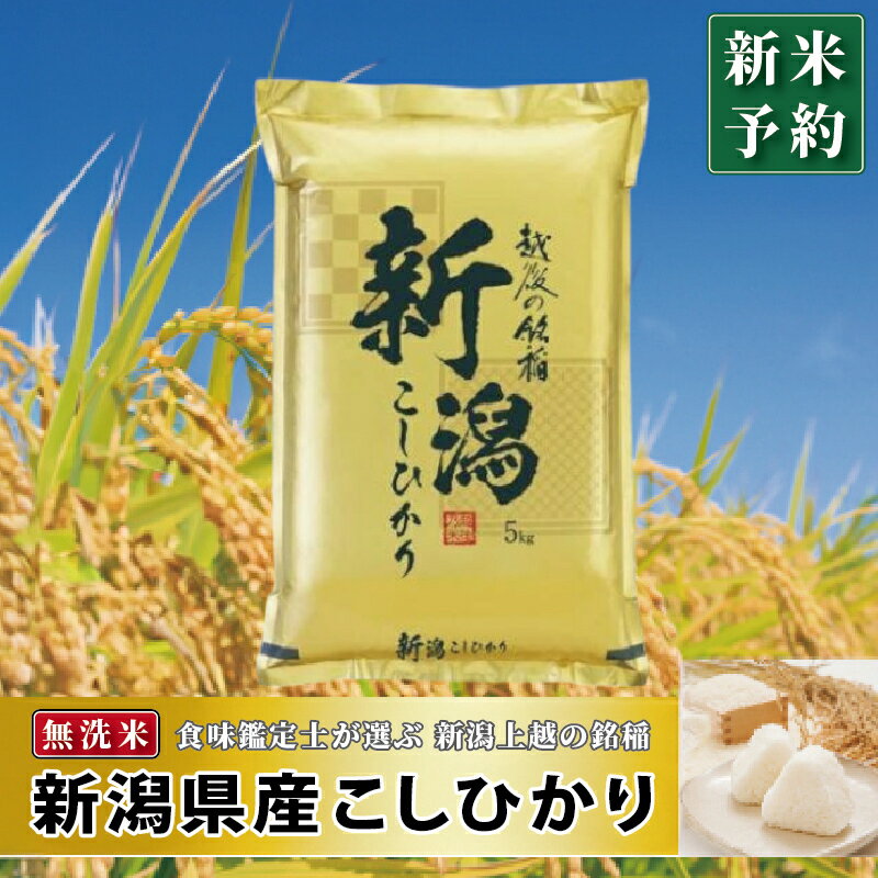 【ふるさと納税】令和7年産 先行予約 容量と回数が選べる 食味鑑定士厳選 新潟県産こしひかり 無洗米　お届け：2025年10月中旬～2026年9月下旬まで