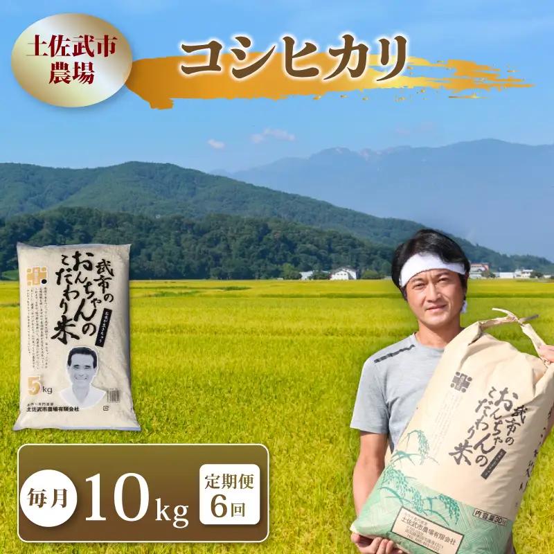 【先行予約】 新米 【6回定期便】 令和8年度 コシヒカリ 白米 10キロ