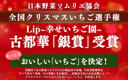 奈良県高級ブランド“古都華”と“季節のいちご”2種盛り。 贈答用1ケース  | フルーツ くだもの 果物 いちご イチゴ ことか コトカ 古都華 奈良県 五條市