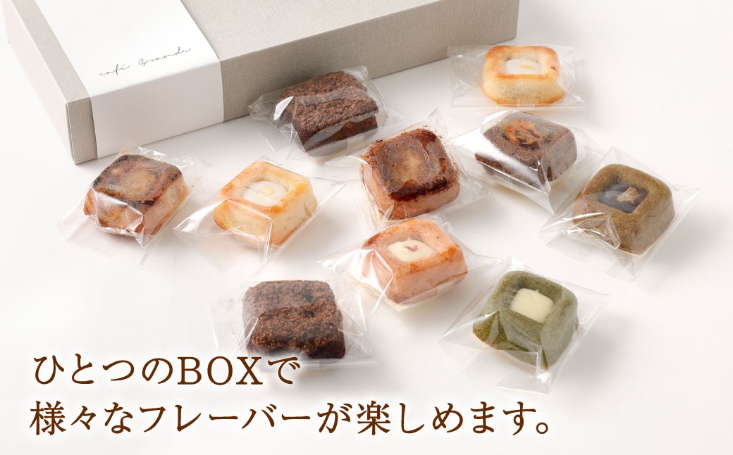 ティグレ 10個BOX