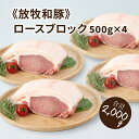 【ふるさと納税】≪放牧和豚≫ロースブロック 500g×4 【合計2kg】 - 国産 豚肉 豚 豚ブロック ブロック肉 ブロック 塊肉 かたまり肉 豚肉かたまり 豚ロース ロース肉 Pioneer Pork(パイオニアポーク) 小分け こだわり 送料無料 【宮崎県木城町】