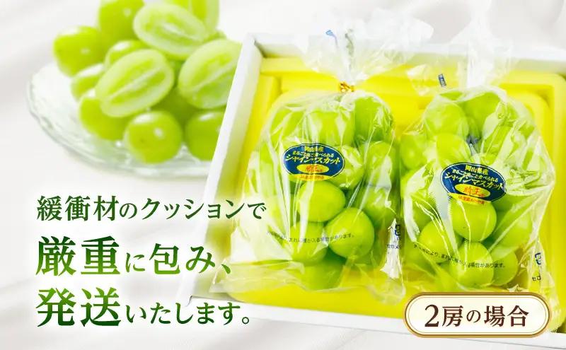 ぶどう 2026年 先行予約 【プレミアムシャインマスカット 晴王 2房 合計約1.4kg】 赤秀品以上  岡山県船穂産 葡萄 ブドウ ギフト ハレノフルーツ 皮ごと食べる みずみずしい