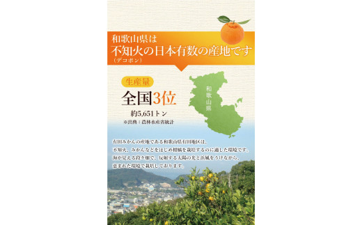 不知火 家庭用 2.5kg+250g（痛み補償分）/ みかん 訳あり しらぬい 光センサー 選別 デコポン 柑橘 晩柑 和歌山 甘い 8000円 ※2027年2月上旬～4月上旬ごろに順次発送予定 ※北