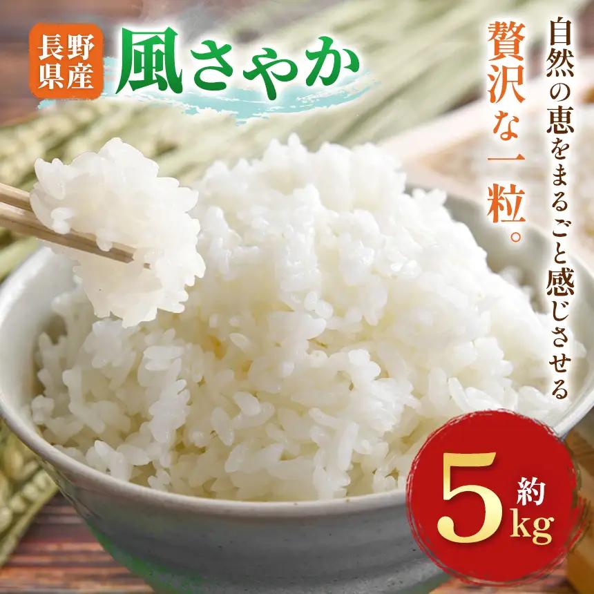 木島平村産 風さやか 約5kg | 米 こしひかり コシヒカリ 定番 品種 特別栽培 寒暖差 木島平村 長野県 信州 コシヒカリ 特別栽培米