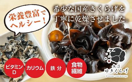 国産 乾燥 きくらげ 20g×4パック 計80g 小分け 栄養豊富 無農薬 無添加 オーガニック 自家栽培 雪国 魚沼ゆきくらげ キクラゲ 木耳 きのこ キノコ ビタミンＤ 肉厚 健康 食品 食物繊維