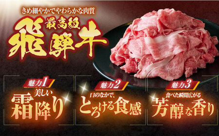 飛騨牛小間切　450g【配送不可地域：離島・北海道・沖縄県・東北・中国・四国・九州】【1567353】