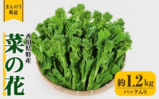 ＜期間限定！2025年12月中旬以降順次発送予定＞菜の花(約1.2kg/パック入り) 【man355】【Aglio nero】