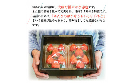 いちご ゆめのか 500g 以上 (270g×2p)  果物 フルーツ ストロベリー スイーツ 先行予約 阿波市 徳島県