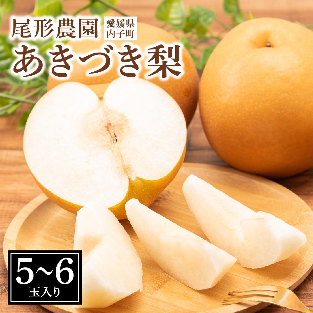 【ふるさと納税】尾形農園のあきづき梨（1）【5～6玉入り】 | フルーツ 果物 くだもの 食品 人気 おすすめ 送料無料
