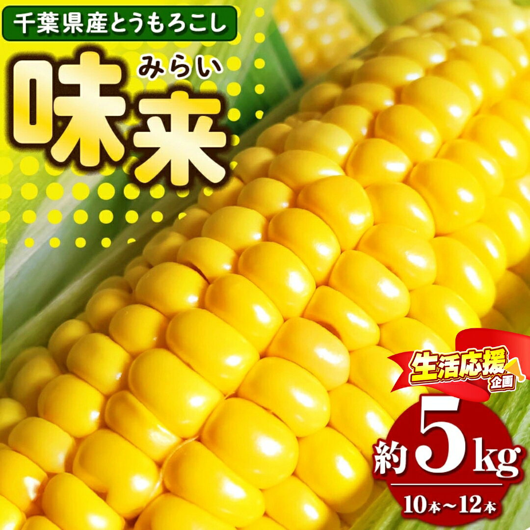 【ふるさと納税】 高糖度 とうもろこし 味来 約 5kg（10本～12 本）7月上旬から順次発送 トウモロコシ | 里菜ファーム 平均糖度12度以上 ベテラン農家 こだわり プロ 野菜 とうもろこし スイートコーン コーン トウモロコシ 新鮮 朝採り 千葉 君津 きみつ