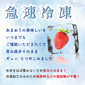 【2025年4月-10月発送】 あまおう 1kg 冷凍 いちご 冷凍 ｱｲｽ いちご あまおう いちご ｼｬｰﾍﾞｯﾄ いちご ONE004