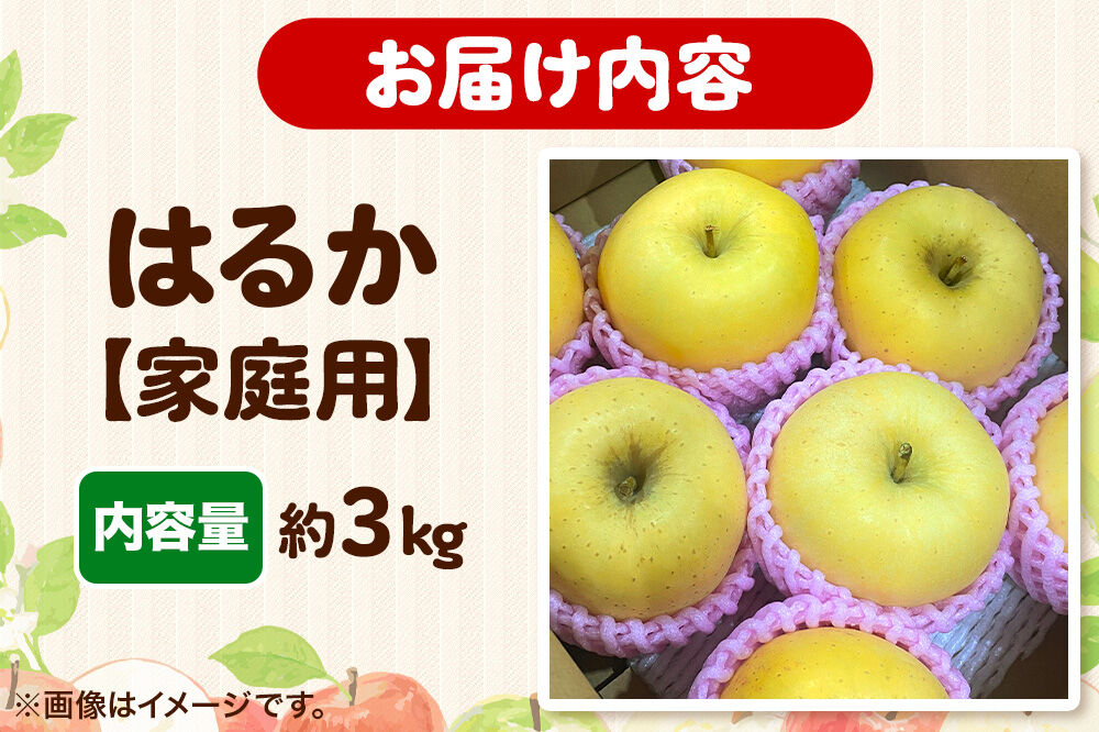 【26年12月発送】りんご【高級りんご・はるか】はるか【家庭用】約3kg 先行受付 青森県 弘前市 果物 フルーツ 林檎 リンゴ くだもの 不揃い 規格外 [先行予約 産地直送 アップル おいしい 果