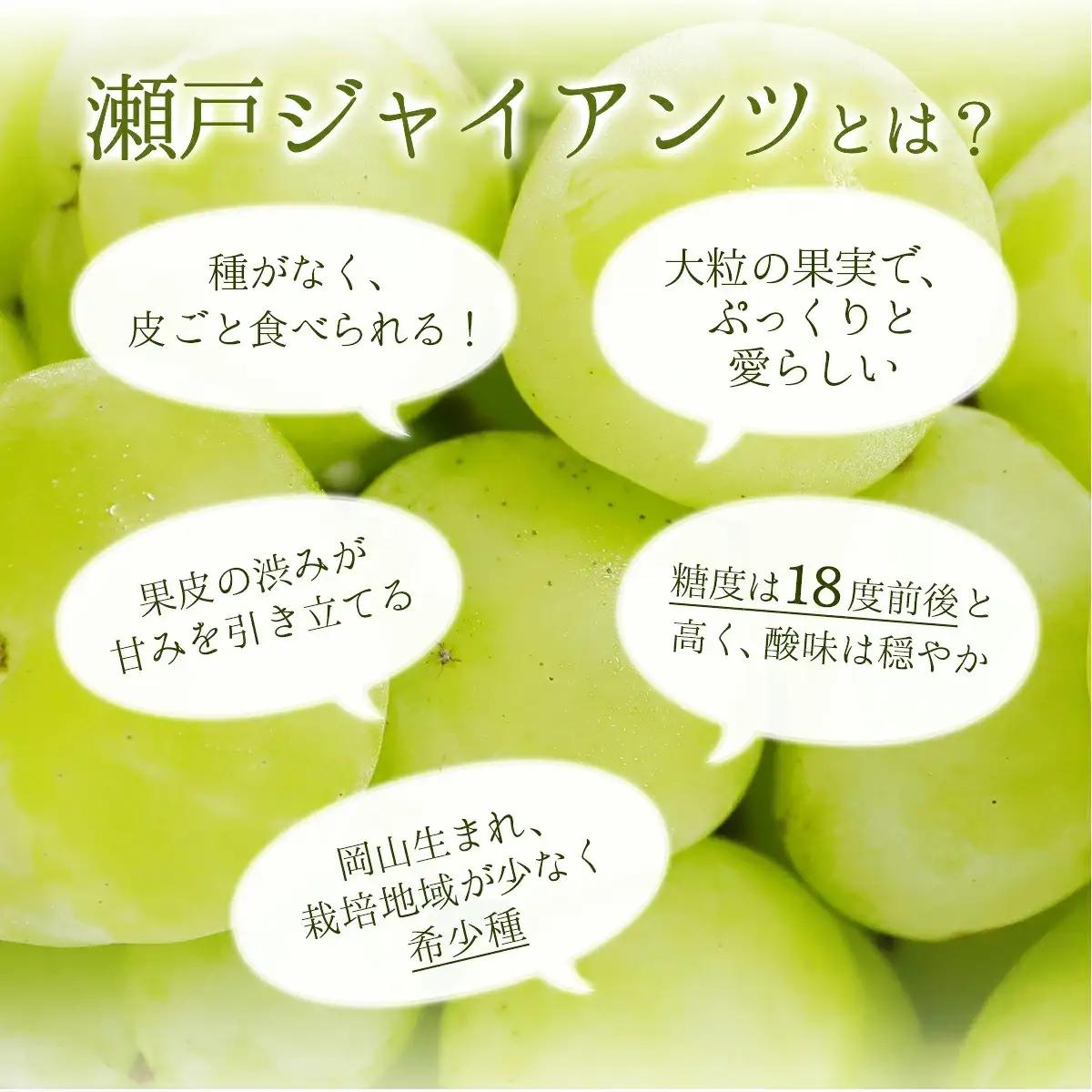 【期間限定】 鏡野町産 瀬戸ジャイアンツ 2kg（2～4房）