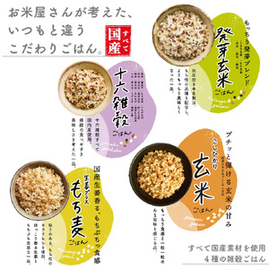 【国産100%】パックご飯 玄米 雑穀 4種食べ比べ 160g×12個 パックごはん 幸南食糧