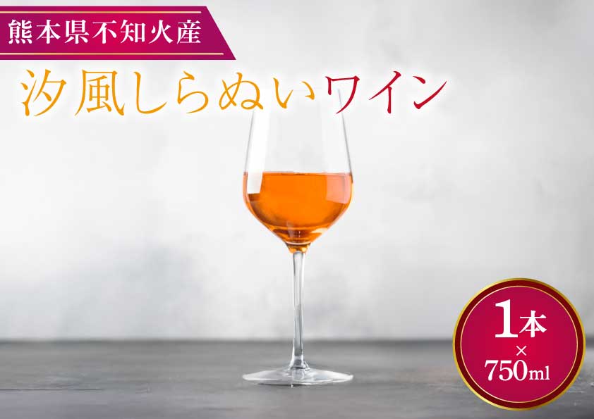 汐風しらぬいワイン 750ml×1本 果実酒 巨峰 ワイン お酒 アルコール 9度