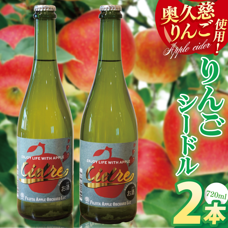 りんごシードル 720ml×2本セット｜フジタアップルオーチャード 茨城県 大子町 奥久慈 林檎 果実 果汁 大吟醸 お酒 アルコール(BJ005)