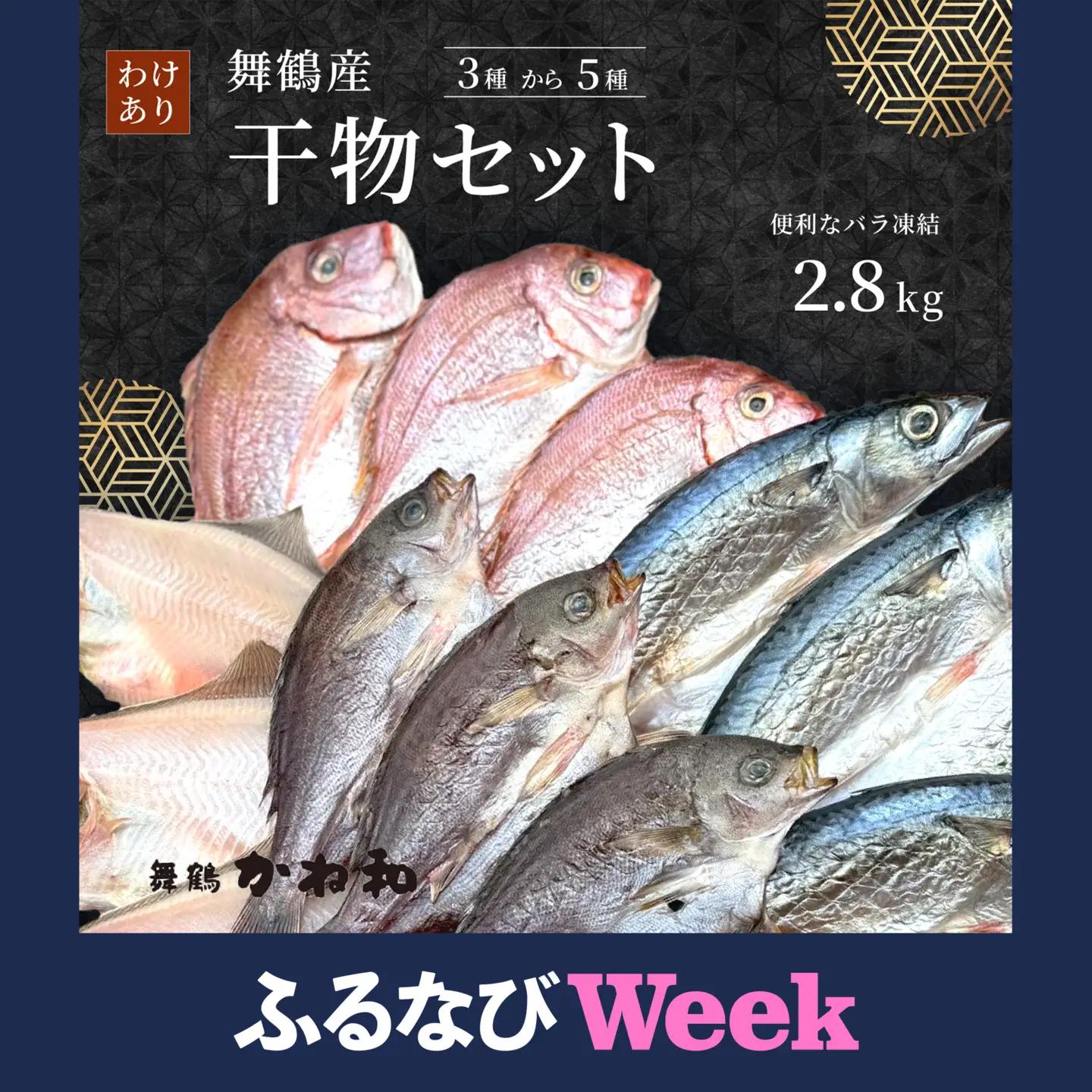 【ふるなびWEEK対象】 【訳あり】 干物 約2.8kg 詰め合わせ 干物