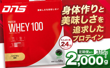 【定期便3回】DNS プロテインホエイ 100 バナナオレ 風味 630g