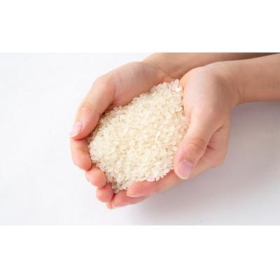 ふるさと納税 うきは市 みずほファーム オリジナルヒノヒカリ「瑞穂の一」白米3kg |  | 01
