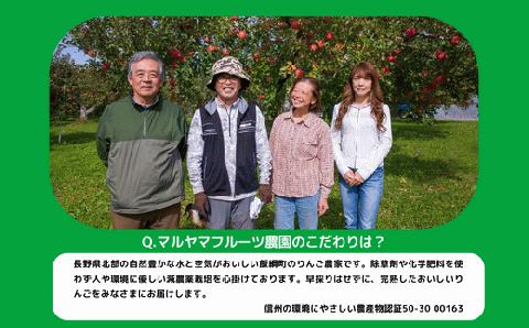 りんご サンふじ 訳あり 10kg マルヤマフルーツ農園 沖縄県への配送不可 2024年12月上旬頃～12月下旬頃まで順次発送予定 令和6年度収穫分 減農薬 長野県 飯綱町 [0351]