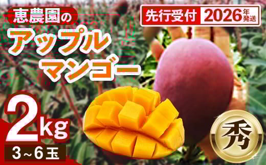 
            【先行受付】【2026年発送】恵農園のアップルマンゴー『秀』約2kg（3～6玉）- 先行予約 沖縄県産 産地直送 南国フルーツ 旬の味覚 季節の果物 贈り物 ギフト 沖縄県 八重瀬町
          