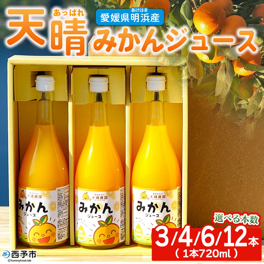 【ふるさと納税】＜愛媛県明浜産 天晴みかんジュース 720ml×3/4/6/12本セット＞ 選べる 蜜柑 みかん ミカン 果物 オレンジ 果汁 ジューシー フルーツ 温州みかん 飲料 ジュース 飲み物 セット 濃厚 株式会社笑丸 特産品 愛媛県 西予市【常温】『1か月以内に順次出荷予定』