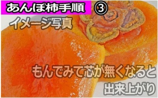 【県認定エコファーマー】あんぽ柿用生渋柿（平たねなし柿） 約14.5～15kg-AP【2025年10月下旬頃から随時発送(日付指定不可)】【art002A】
