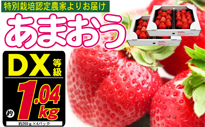 あまおう DX等級のみ 約1.04kg 約260g×4パック ※配送不可：北海道・東北・沖縄・離島 果物 苺 フルーツ デザート 旬 大粒 中玉 大玉 旬のあまおう 