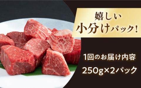 【全3回定期便】佐賀牛 ヒレ サイコロステーキ 500g(250g×2パック)【山下牛舎】 [HAD072]