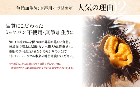 「うにむらかみ」無添加生うにお得用バラ詰め200g 【 ふるさと納税 人気 おすすめ ランキング うに ウニ 雲丹 海栗 塩水ウニ 塩水うに キタムラサキウニ バフンウニ うに丼 海鮮 ミョウバン 不