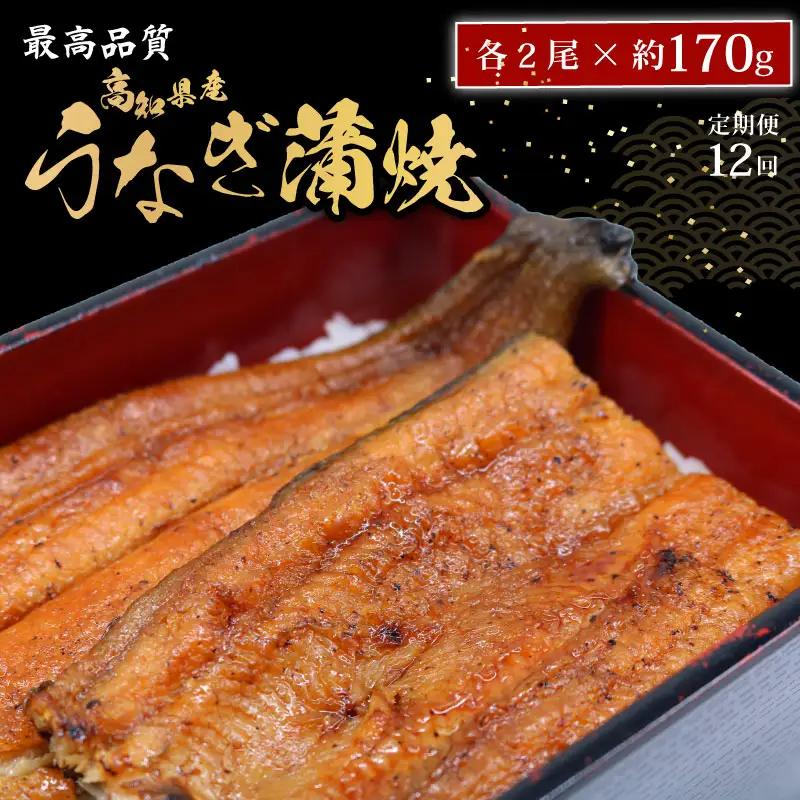 【12回定期便】 うなぎ蒲焼 約170g×2尾 うなぎ蒲焼