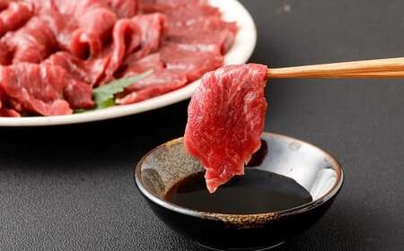 【フジチク ふじ馬刺し】 カット不要！切れてる馬刺し！50g×10人前 1人前あたり50g 計500g 馬肉 お肉 馬刺 生姜・たれ付き
