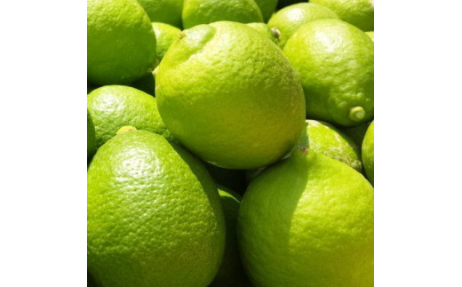 
                  紀州和歌山 ご家庭用 有田 レモン 3kg［先行予約］［MS70］
                