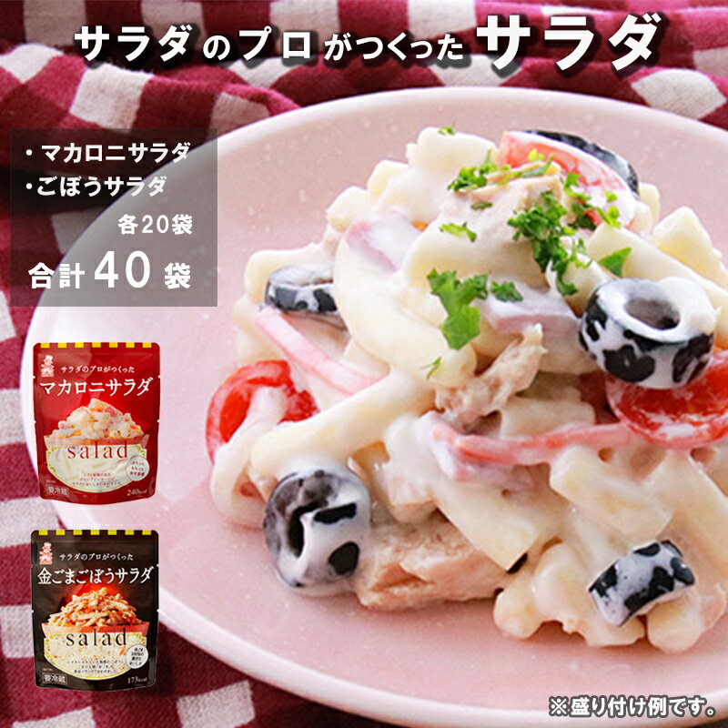 【ふるさと納税】 サラダのプロがつくった サラダ 2種類 セット 40袋 マカロニサラダ 金ごまごぼうサラダ マカロニ 金ごま ごぼうサラダ 個包装 レトルト パウチ 小分け お弁当 弁当 ご飯 おかず ケンコーマヨネーズ 惣菜 弁当 サンドイッチ グラタン 京都 舞鶴