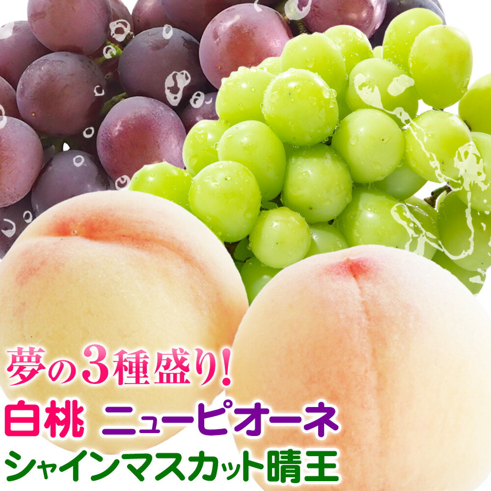 【ふるさと納税】桃 ぶどう 詰合 岡山白桃 2玉(1玉220g以上) ニューピオーネ1房(1房480g以上) シャインマスカット 晴王 1房(1房480g以上) 化粧箱入 株式会社山博《7月下旬-8月中旬頃出荷》岡山県 笠岡市 フルーツ 果物 葡萄 マスカット もも お取り寄せ【配送不可地域あり】