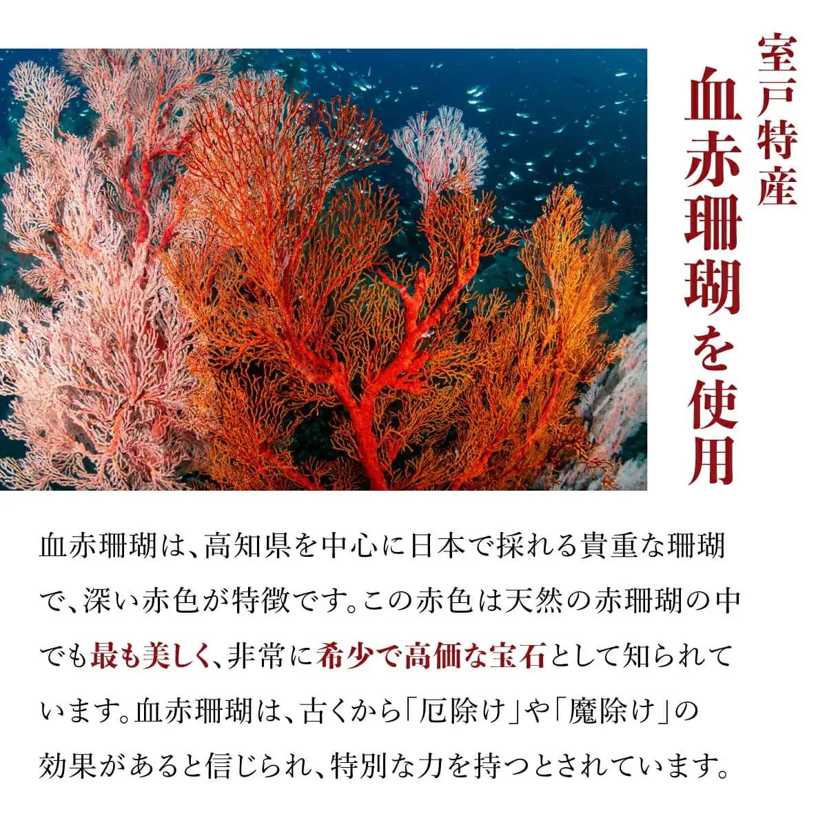 血赤珊瑚 ピアス 珊瑚