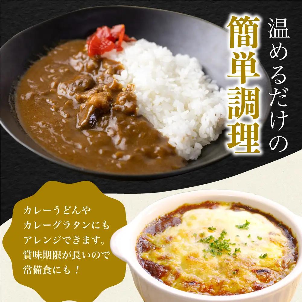 【ふるなび限定】飛騨牛カレー13袋 訳あり |  ビーフ レトルト 訳あり DC006-CP01　FN-Limited-VO