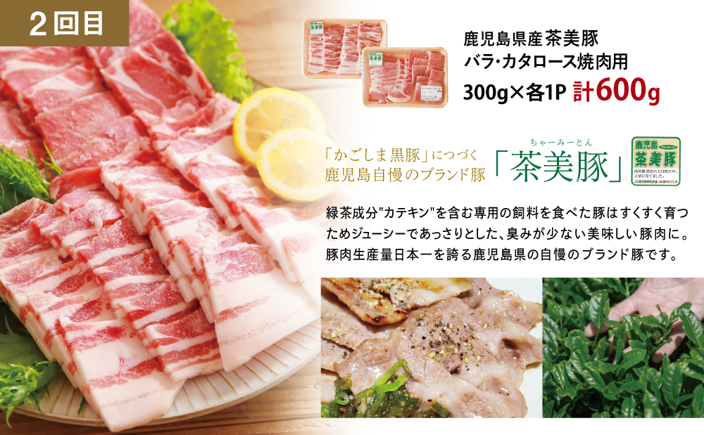 【厳選焼肉定期便】黒毛和牛・ブランド豚・牛タン 全3回コース 牛肉 焼肉 焼き肉 BBQ バーベキュー 豚肉 バラ ロース 牛タン お肉 小分け 冷凍 定期配送 カミチク スターゼン JA食肉かごしま