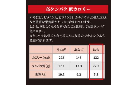 鱧 ハモ 鍋 セット 2~3人前 冷凍 国産 本場 徳島県産 グルメ 魚介 海鮮 食品 ※離島への配送不可