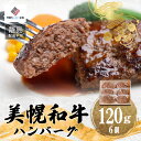 【ふるさと納税】【田村精肉店】美幌和牛ハンバーグ【120g×6個】【配送不可地域：離島】 ハンバーグ 和牛 手軽 簡単 おかず 北海道 美幌町 送料無料 BHRJ010