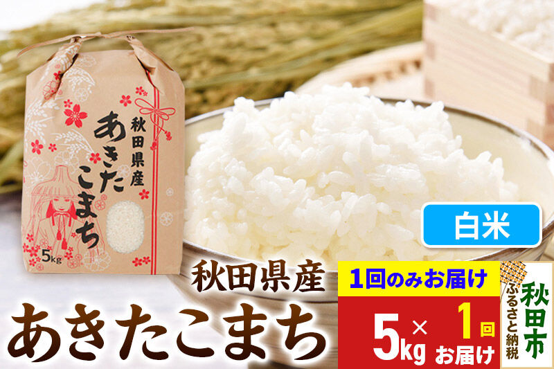 《令和8年産》あきたこまち 5kg【1回のみお届け】【白米】秋田県産 こまちライン [秋田 お米 米どころ あきたこまち こまちライン]