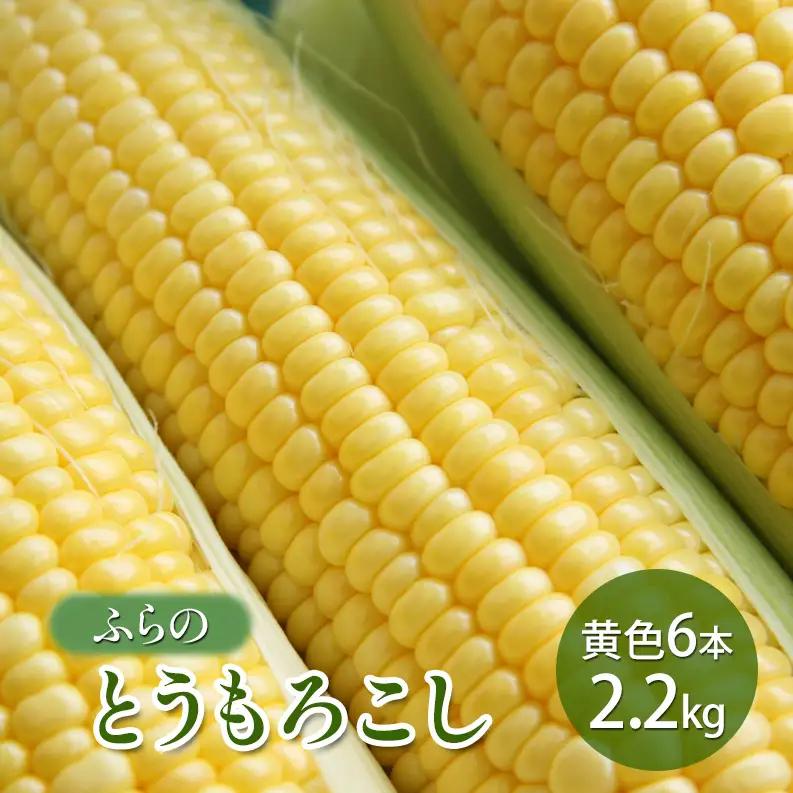 【2026年夏発送】ふらの とうもろこし 黄色 6本 2.2kg 北海道 富良野市 野菜 コーン とうきび イエロー 新鮮 直送 道産 ふらの 送料無料 数量限定 先着順