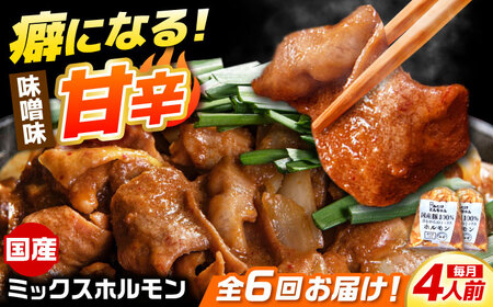 【6回定期便】昔ながらのミックスホルモン 2袋（4人前） / モツ もつ レバー ホルモン / 御嵩町 / 藤よし[AVAA083]