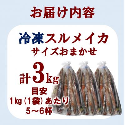 ふるさと納税 普代村 三陸水産 冷凍スルメイカ 約3kg (1kg×3袋) いか |  | 03